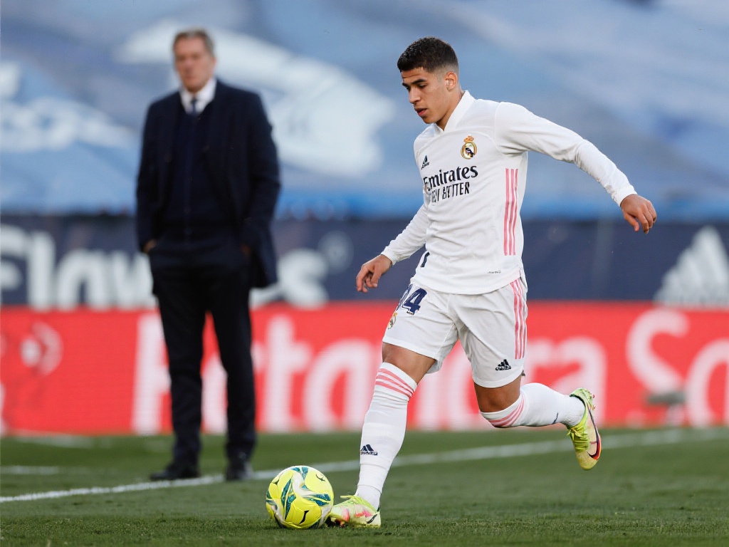 阿里的执哨 阿里的执哨